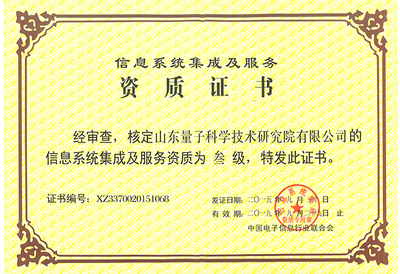 信息系統(tǒng)集成服務 助力企業(yè)數(shù)字化轉型的核心榮譽
